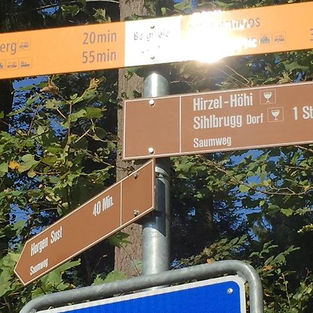 Studio-Appartment Horgen Εξωτερικό φωτογραφία