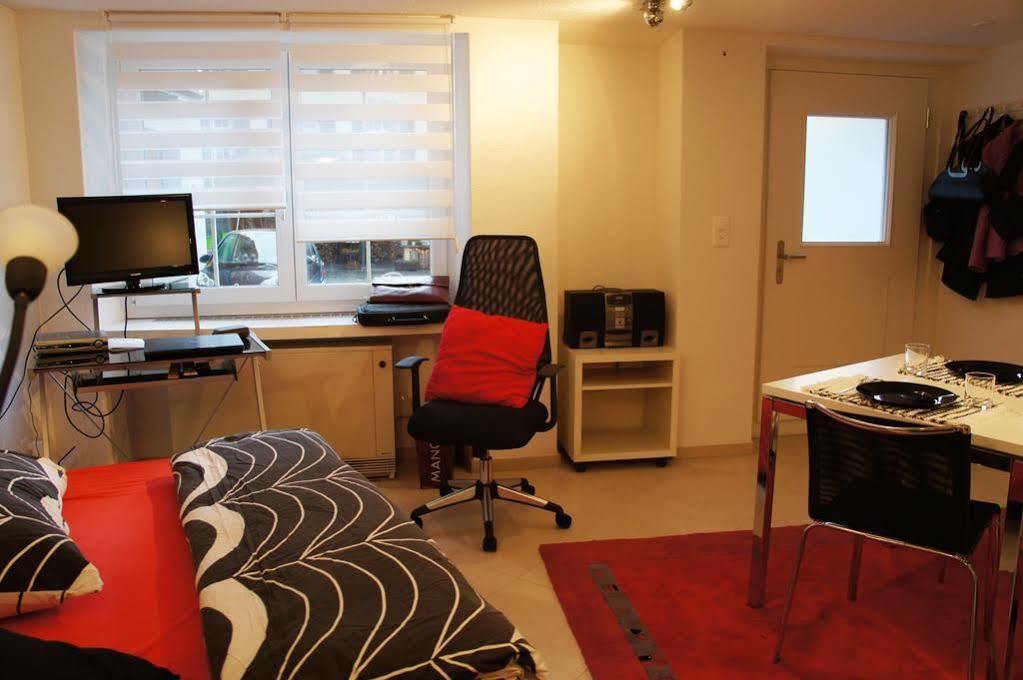 Studio-Appartment Horgen Εξωτερικό φωτογραφία